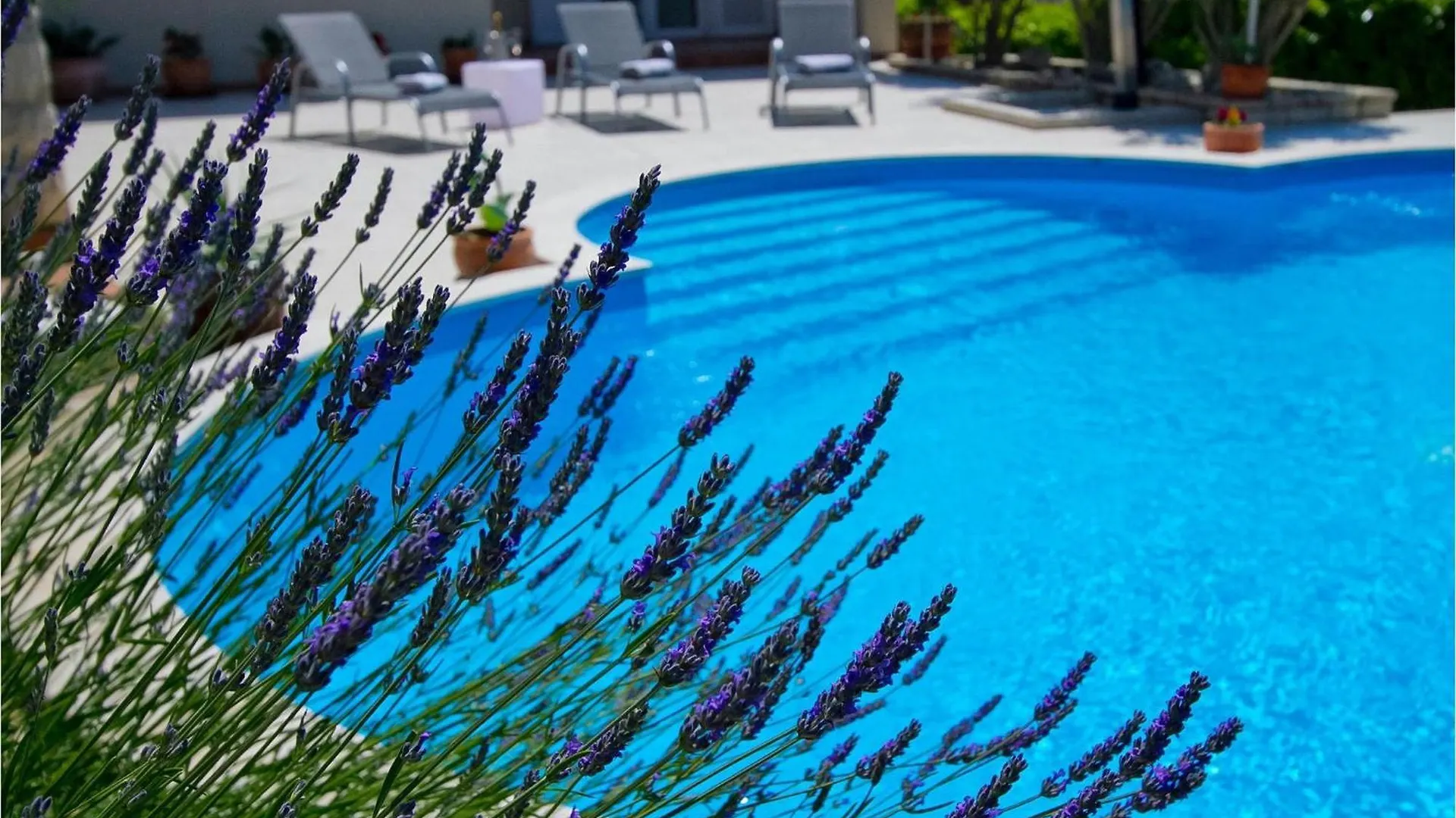 Holiday home Villa Beauty Pula Croatia